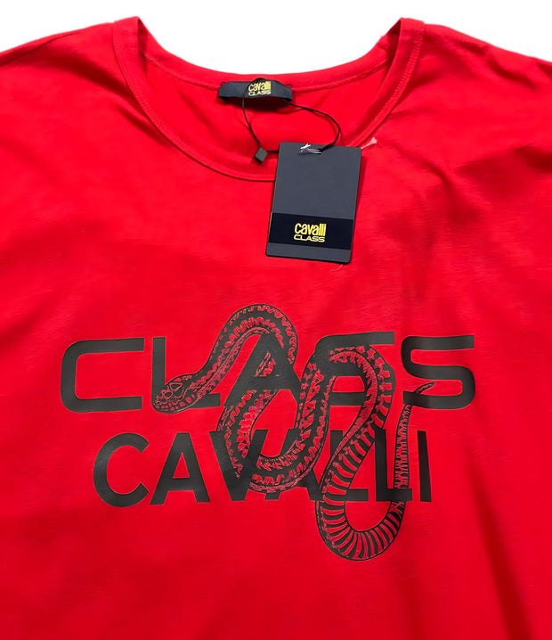 Roberto Cavalli Men T.Shirt OXT60D JD060